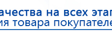 ДЭНАС-ПКМ (Детский доктор, 24 пр.) купить в Рублево, Аппараты Дэнас купить в Рублево, Дэнас официальный сайт denasolm.ru